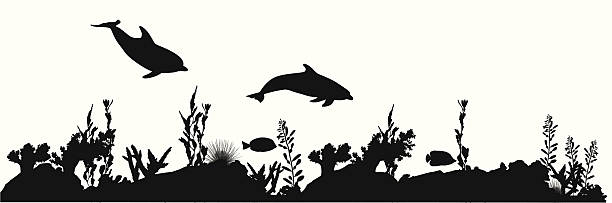 ilustrações de stock, clip art, desenhos animados e ícones de coralsealife - dolphin porpoise mammal sea