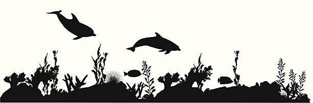 coralsealife - dolphin porpoise mammal sea stock illustrations