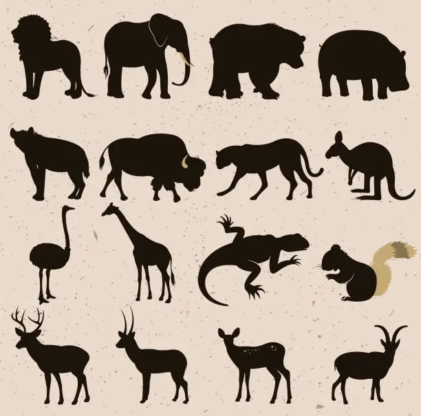 Vector illustration of wild animals