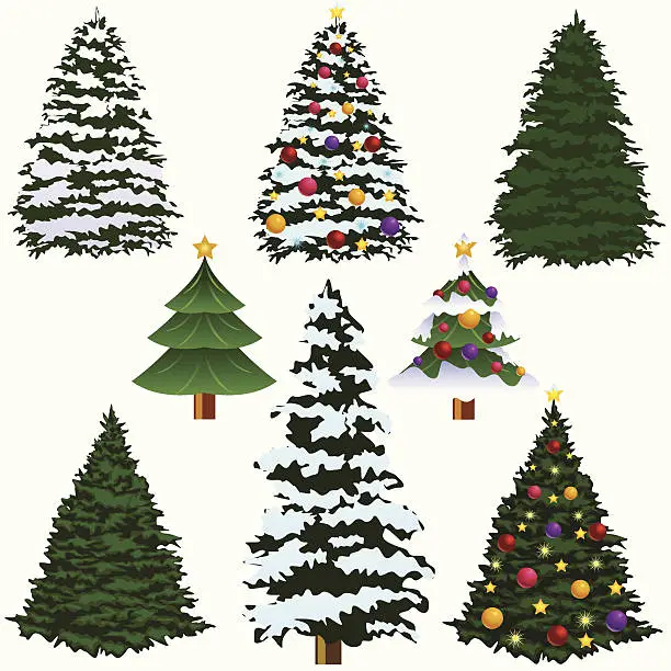 Vector illustration of Various types of Christmas trees isolated on white