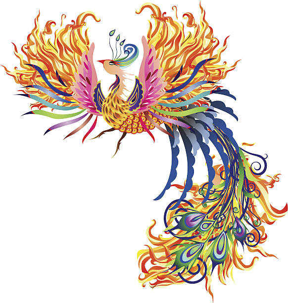 불 피닉스 - china phoenix vector chinese culture stock illustrations