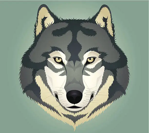 Vector illustration of Wolf's Head