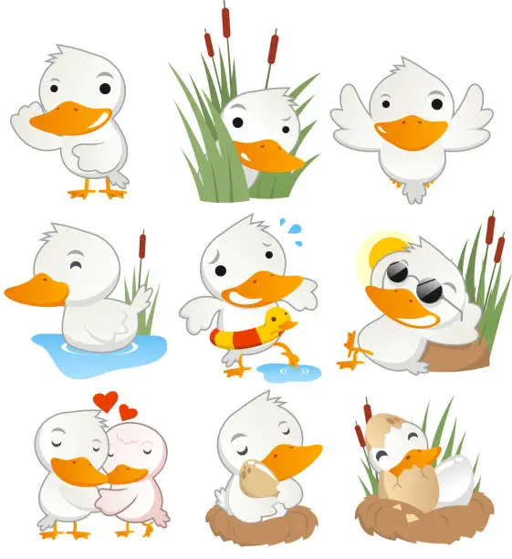 Vector illustration of Cute duck in action set collection