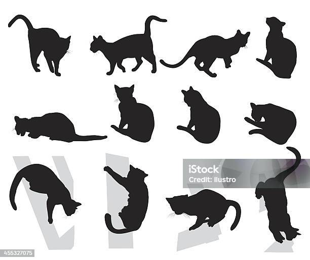 Vetores de Gatos e mais imagens de Gato doméstico - Gato doméstico, Silhueta, Gato não domesticado
