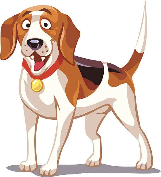 Vector illustration of Beagle