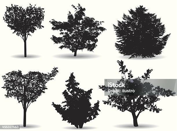 Árvores Tidy - Arte vetorial de stock e mais imagens de Árvore de fruto - Árvore de fruto, Carvalho, Floresta