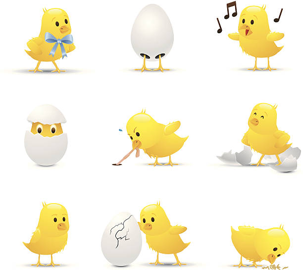 illustrazioni stock, clip art, cartoni animati e icone di tendenza di bambino chicks - uccellino