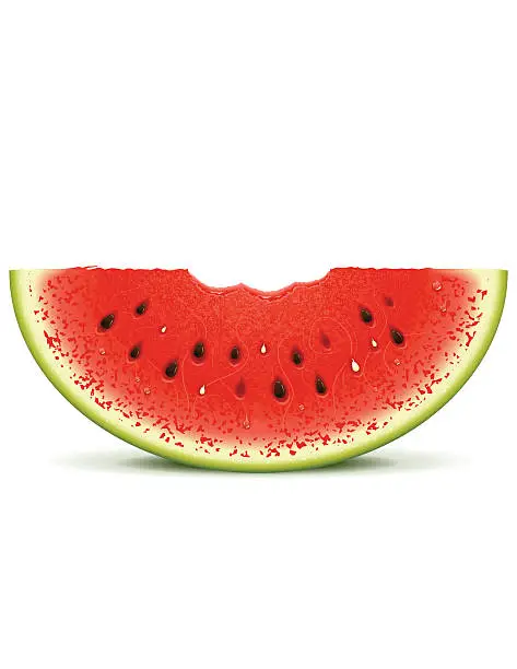 Vector illustration of Watermelon Bite