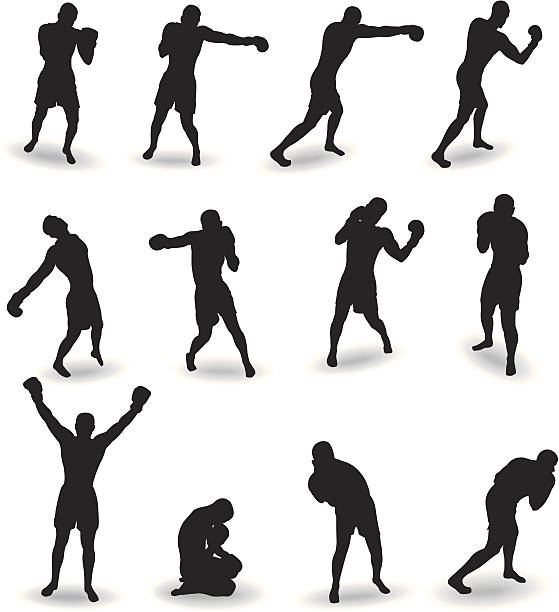Boxing 12 most applicable poses boxers boxing stock illustrations