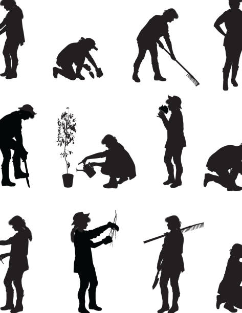 Gardening Woman Gardening Illustration gardening silhouettes stock illustrations