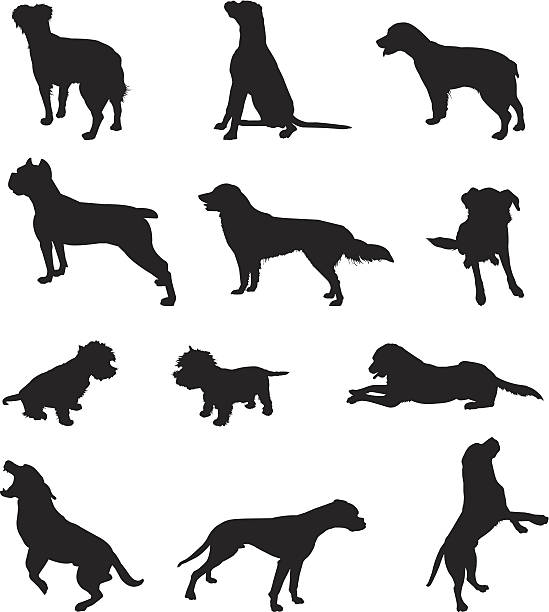 illustrazioni stock, clip art, cartoni animati e icone di tendenza di cani - cane morde coda