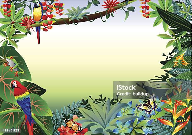 Floresta Pluvial Tropical Limite - Arte vetorial de stock e mais imagens de Floresta pluvial - Floresta pluvial, Tropical, Animal