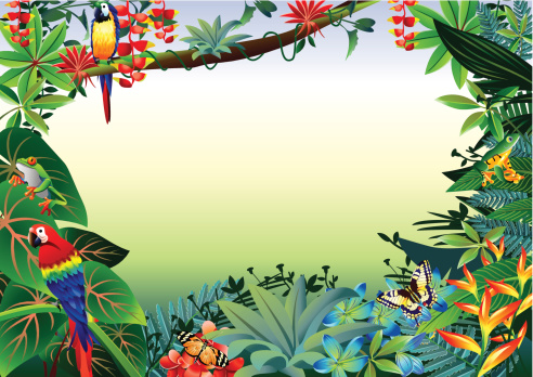 Vector illustrator of Rainforest Tropical Border.