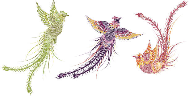 legendary phoenix bird vector art illustration