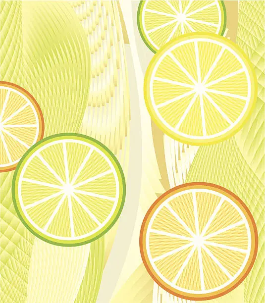 Vector illustration of Slices of lime, orange and lemon