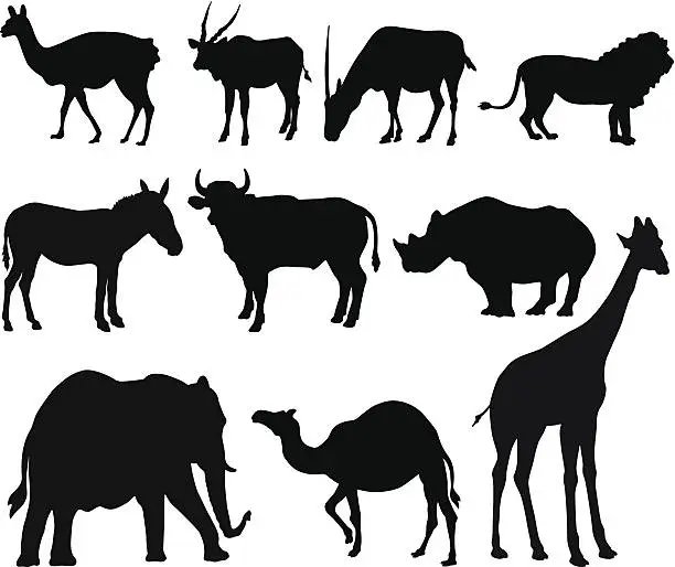 Vector illustration of Safari Animals