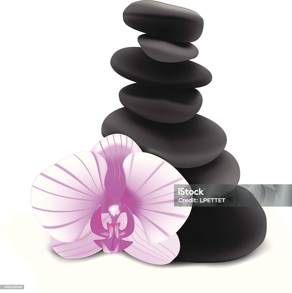 Orchid And Stones  - Vector Illustration Feng Shui stock vector