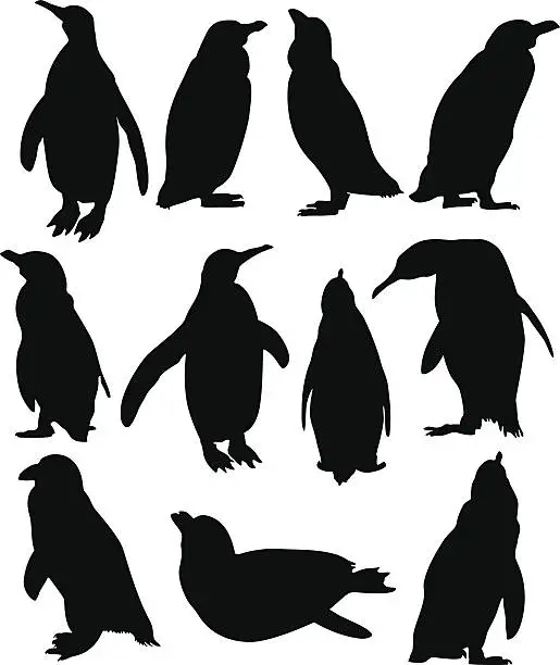 Vector illustration of Penguin Collection