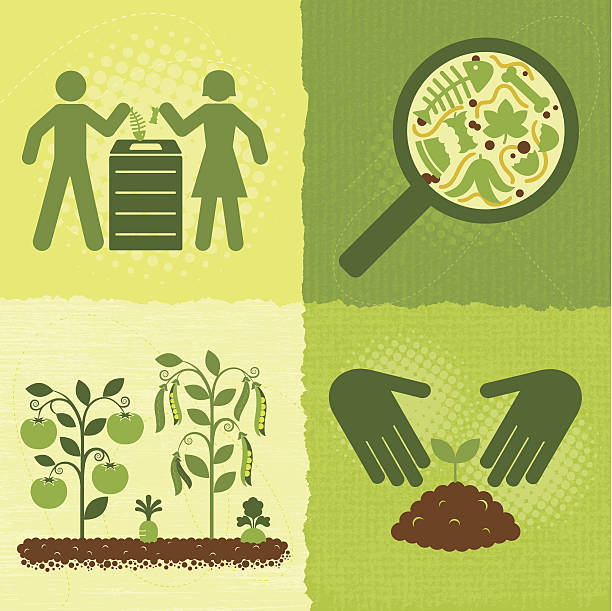kompost ikony (zielony world series - planting tomato vegetable garden vegetable stock illustrations