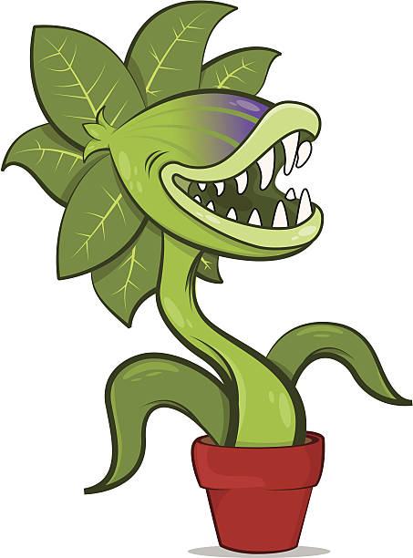 Carnivorous Plant Cartoon Stock Illustration - Download Image Now - Venus  Flytrap, Carnivorous Plant, Plant - iStock