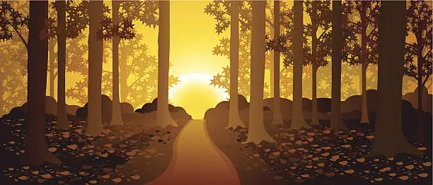 Vector illustration of Mysterious Forest