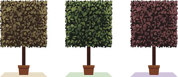 Vector illustration of Cube topiary plant