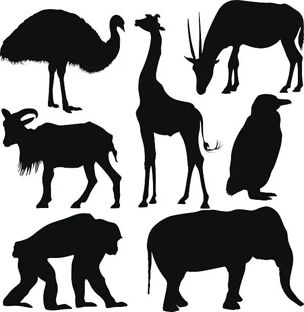 Vector illustration of Animal Silhouette