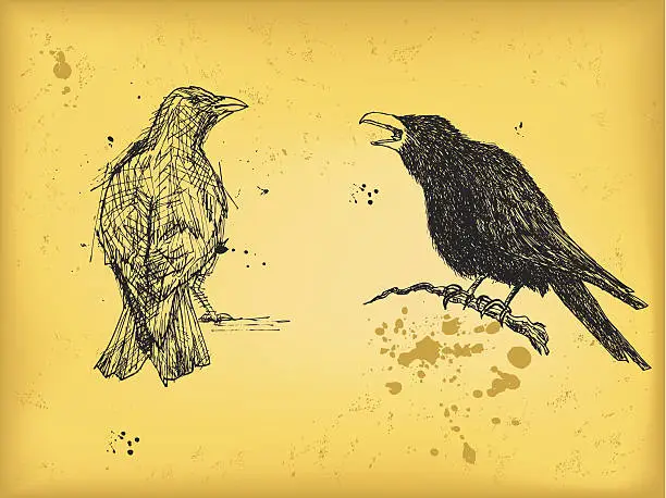 Vector illustration of Crow and raven