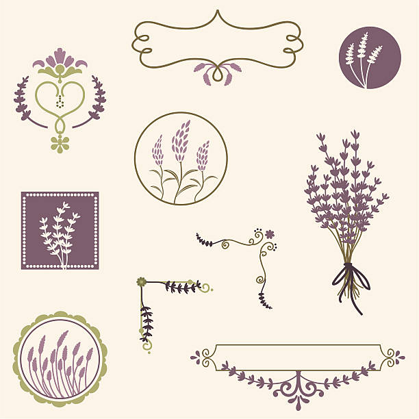 Fresh Air Lavender vector art illustration