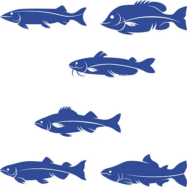 Vector illustration of freshwater game fishes silhouette