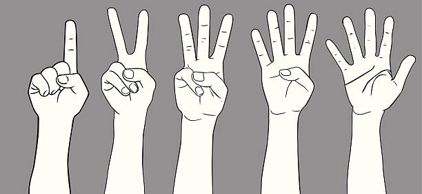 ilustrações, clipart, desenhos animados e ícones de uma a cinco - four in hand