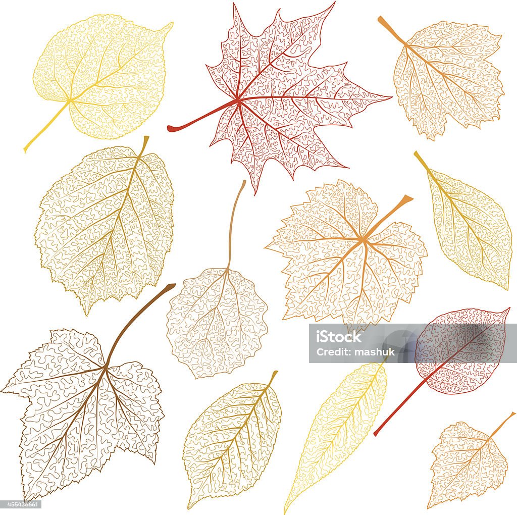 Transparent leaves file_thumbview_approve.php?size=1&id=21363535 Leaf stock vector