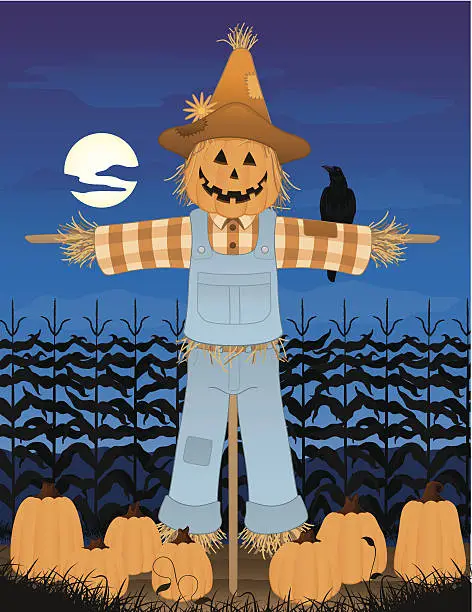 Vector illustration of Scarecrow on the farm