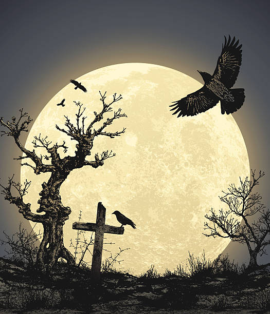 полная луна хэллоуин фон с - cemetery grave halloween non urban scene stock illustrations