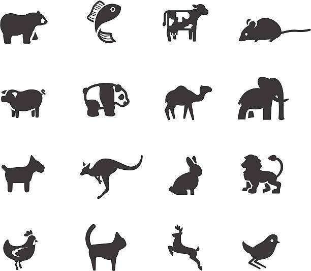 짐승 기호들 - silhouette animal black domestic cat stock illustrations