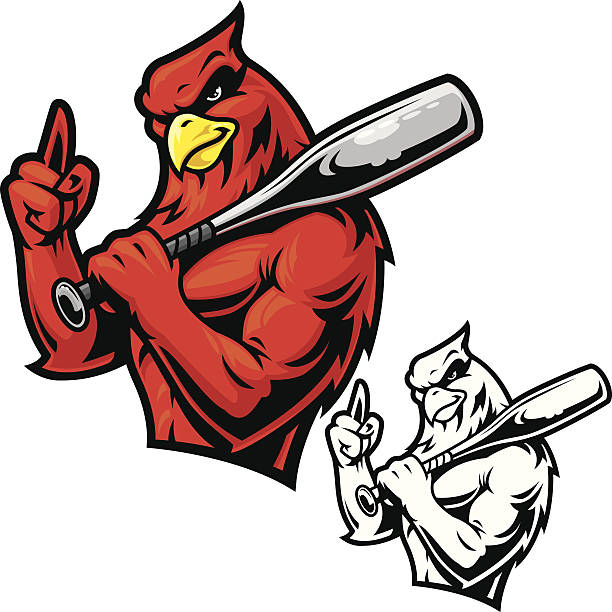 Cardinal Baseball Mascot This is an illustration of a Cardinal Baseball Mascot. NO GRADIENTS and very easy to edit. All secondary color levels are removable down to a simple flat color image. The file is provided as an Illustrator 8 EPS and a 300dpi high-rez jpg. cardinal mascot stock illustrations