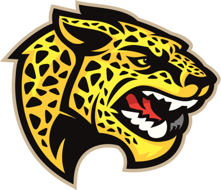 Jaguar Mascot Head