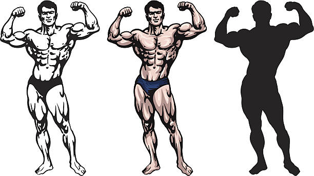 ilustrações, clipart, desenhos animados e ícones de bodybuilder - human muscle body building exercising black and white