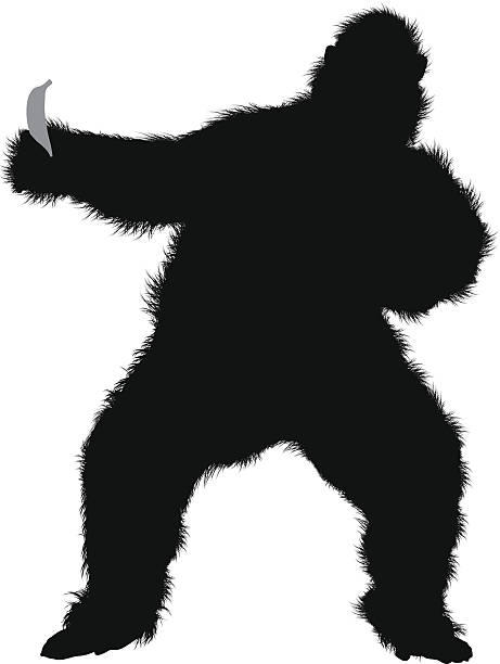 Gorilla holding a banana Gorilla holding a bananahttp://www.twodozendesign.info/i/1.png clip art of a monkey holding banana stock illustrations