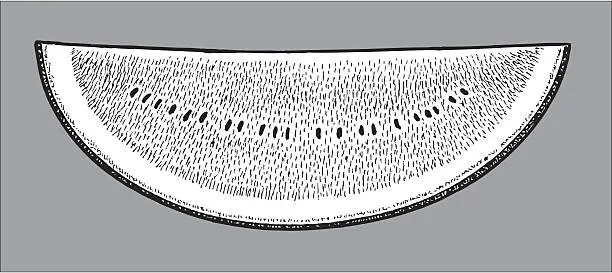 Vector illustration of Watermelon Slice - Summer Fruit