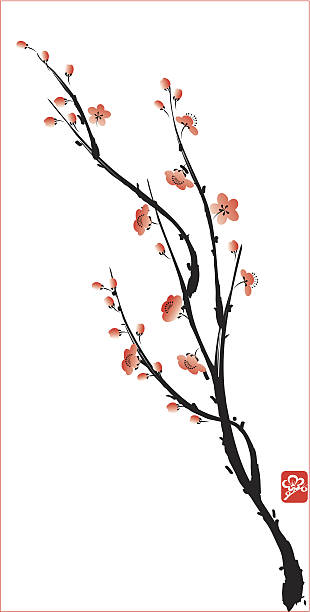 ilustrações, clipart, desenhos animados e ícones de blossom - asian culture pattern chinese culture backgrounds