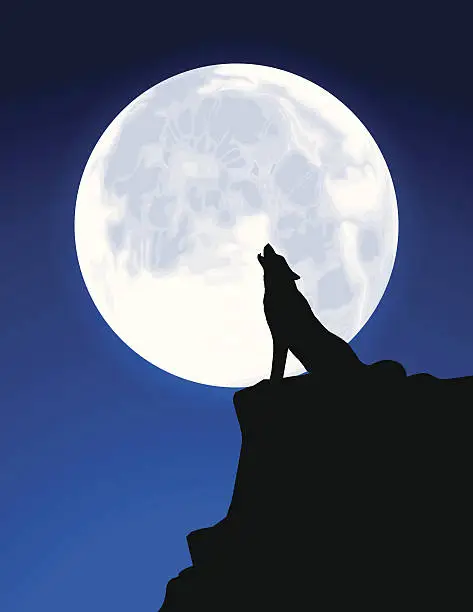 Vector illustration of Black Silhouette of a Wolf Howling at a Full Moon