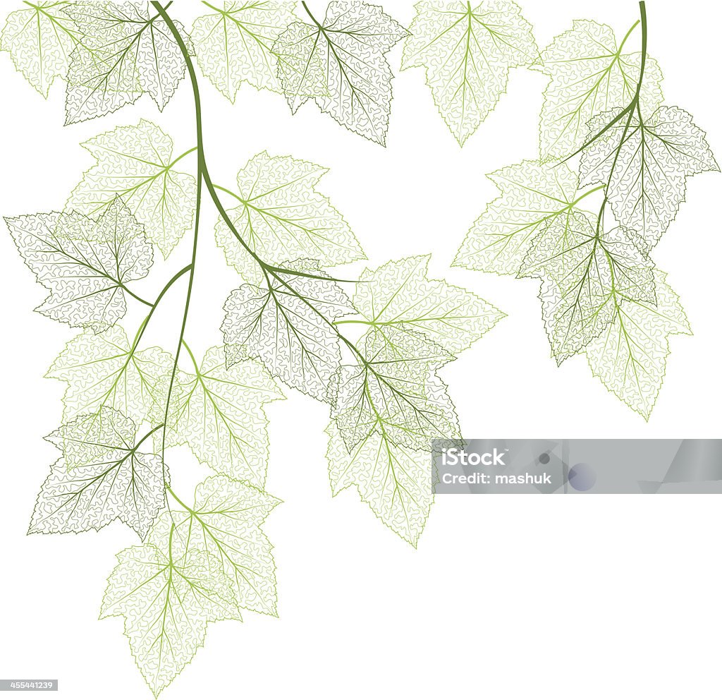 Verde leaf - Vetor de Árvore royalty-free