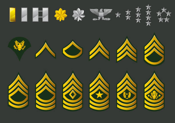 ilustraciones, imágenes clip art, dibujos animados e iconos de stock de us army enlisted filas - insignia de rango de la marina