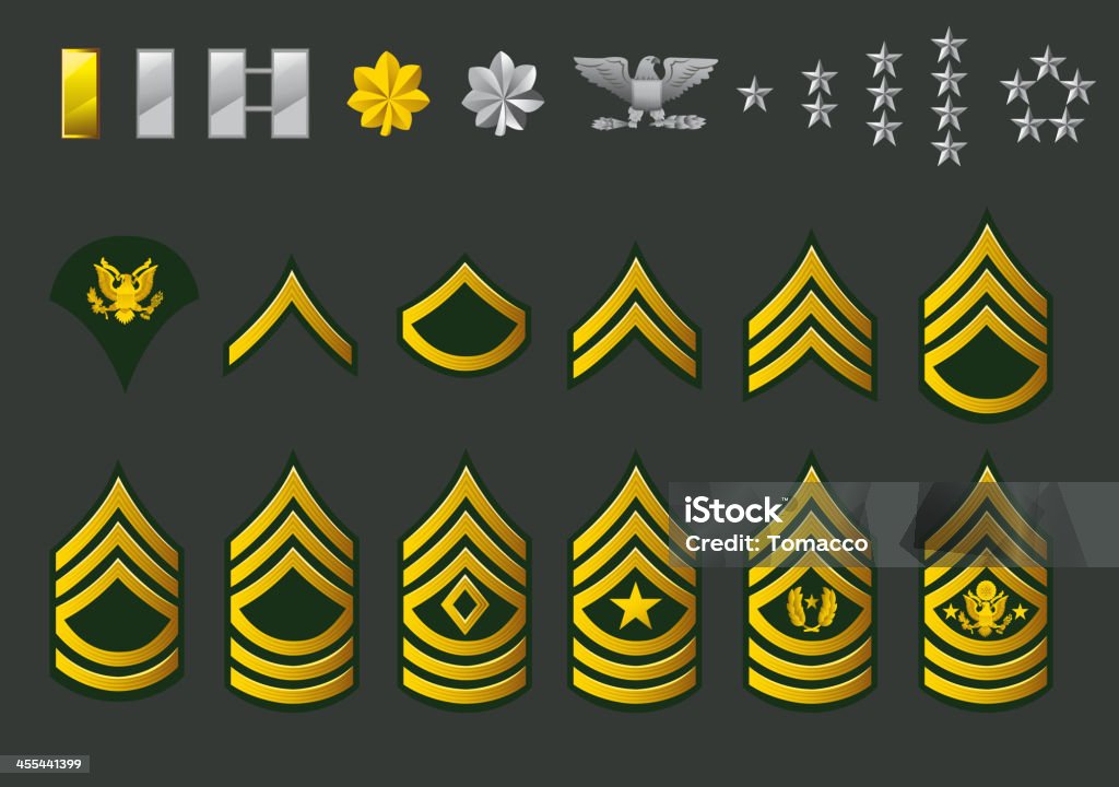 Laminated United States Army Rank Chart Reference Enlisted Officer Nco