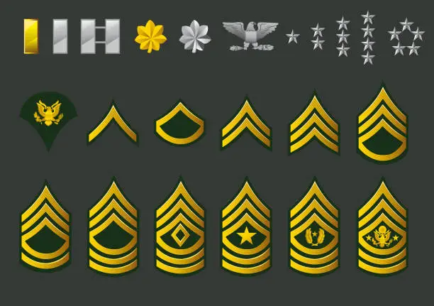 Vector illustration of US army enlisted ranks