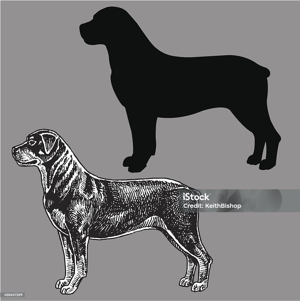 Cane di Rottweiler - arte vettoriale royalty-free di Animale