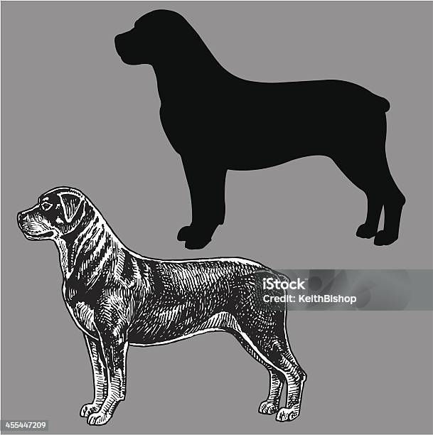 Cane Di Rottweiler - Immagini vettoriali stock e altre immagini di Animale - Animale, Animale da compagnia, Animale domestico