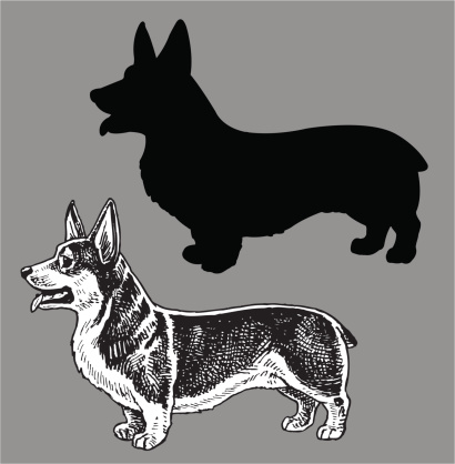 Welsh Corgi Dog. Pen and Ink style illustration of mans best friend, a Welsh Corgi dog. Check out my 