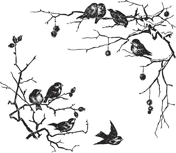 Vector illustration of birds on branches